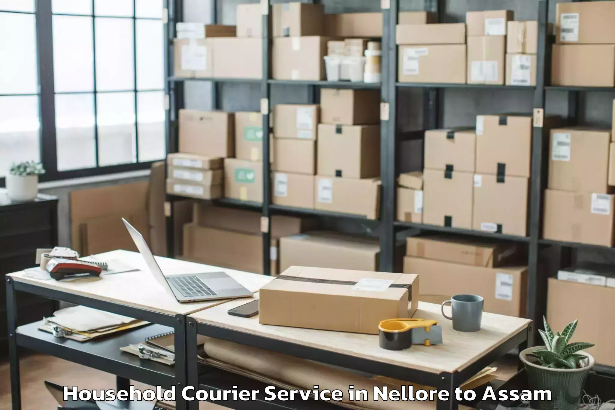 Affordable Nellore to Makum Household Courier